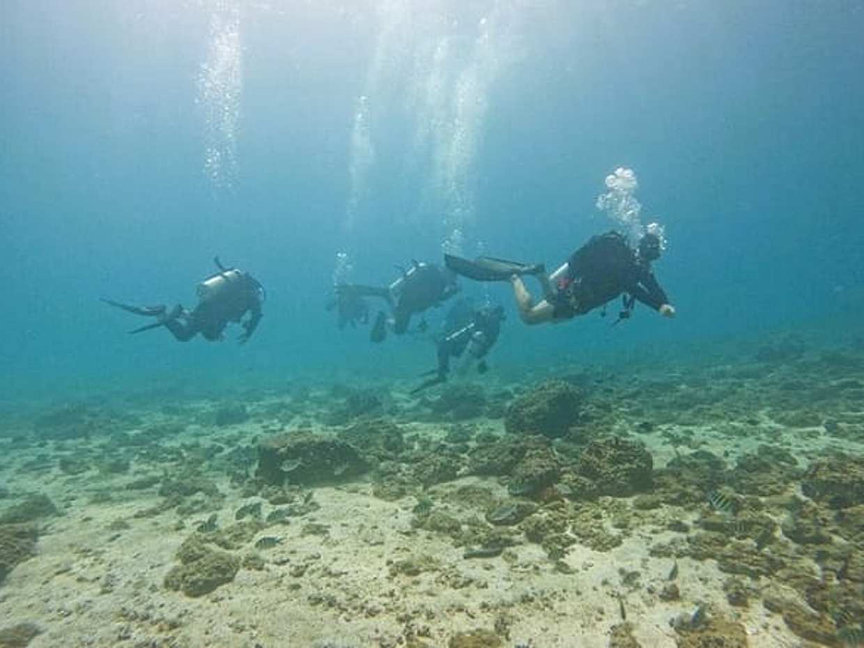 نزلتا غوص للغواصين المعتمدين في الفجيرة مع المواصلات في الإمارات العربية المتحدة, photo 2