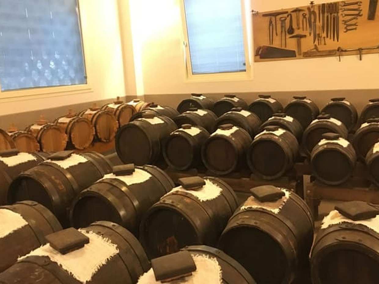 Modena: Visit Vinegar Cellar among the Hills + Cooking Class + Typical Dinner, photo 4