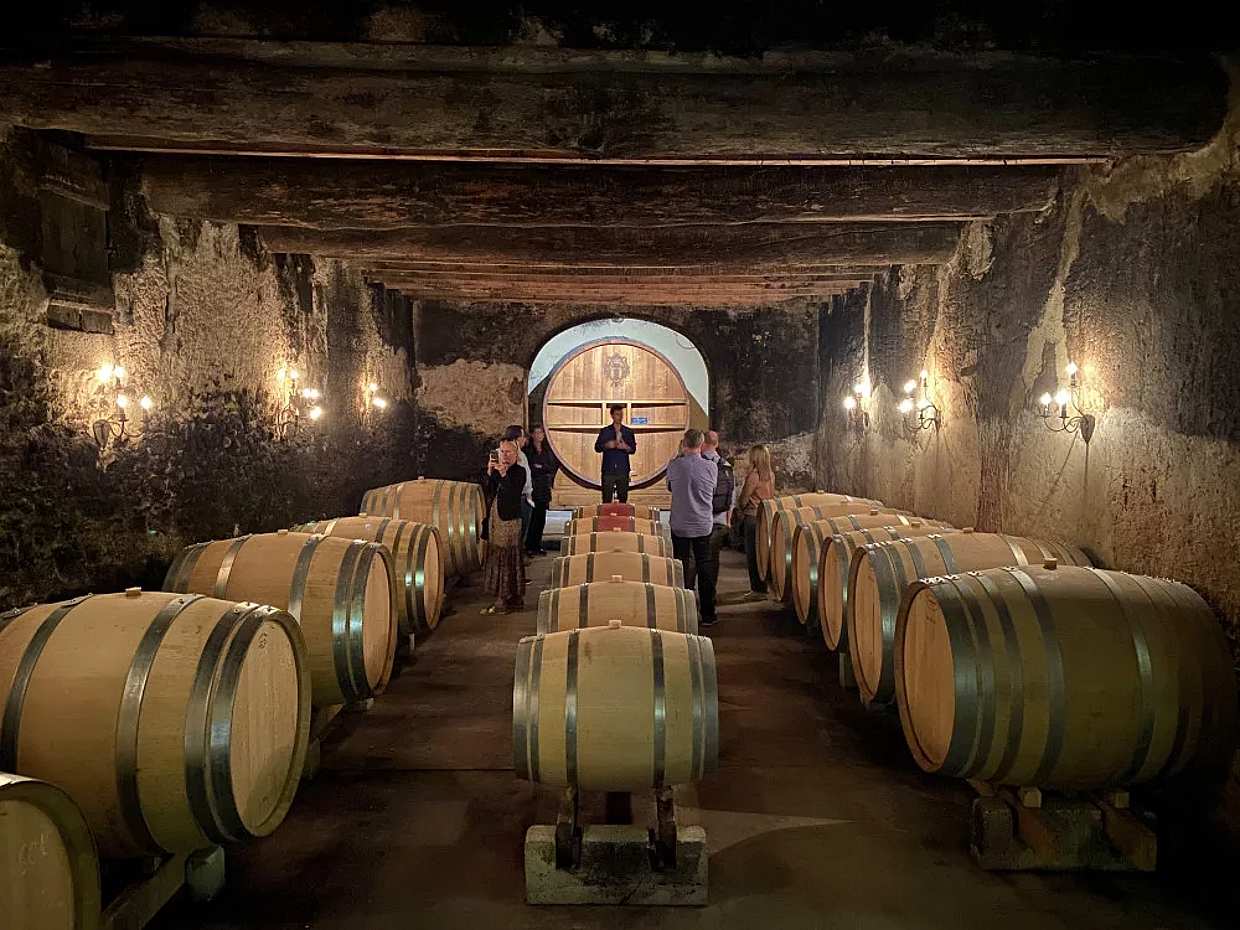 Weinprobe 4-stündige Tour in Avignon: Châteauneuf du Pape in Frankreich, Marseille
, photo 3