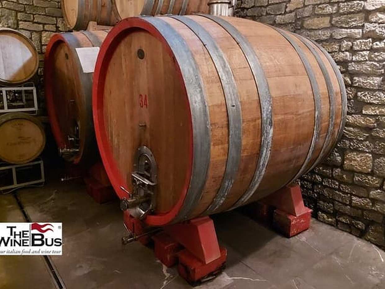 Private Irpinia Wine Tour from POSITANO, AMALFI or RAVELLO, photo 5