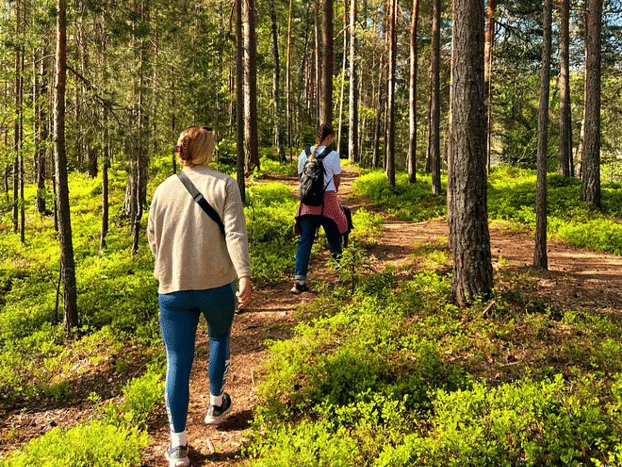 <p>Schilderachtige boswandeling met lokale gids en hond in Noorwegen, Oslo</p>, photo 2