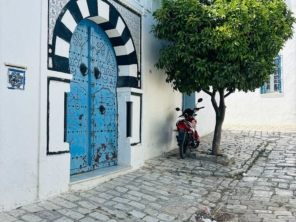 Explore a Tunísia: Tunes como um Local