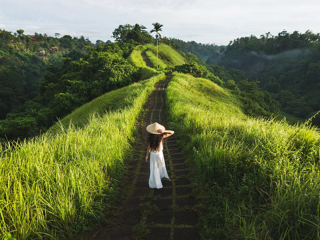 Best of Ubud: Nature, Temple, Waterfall and Rice Terrace in Bali, Indonesia