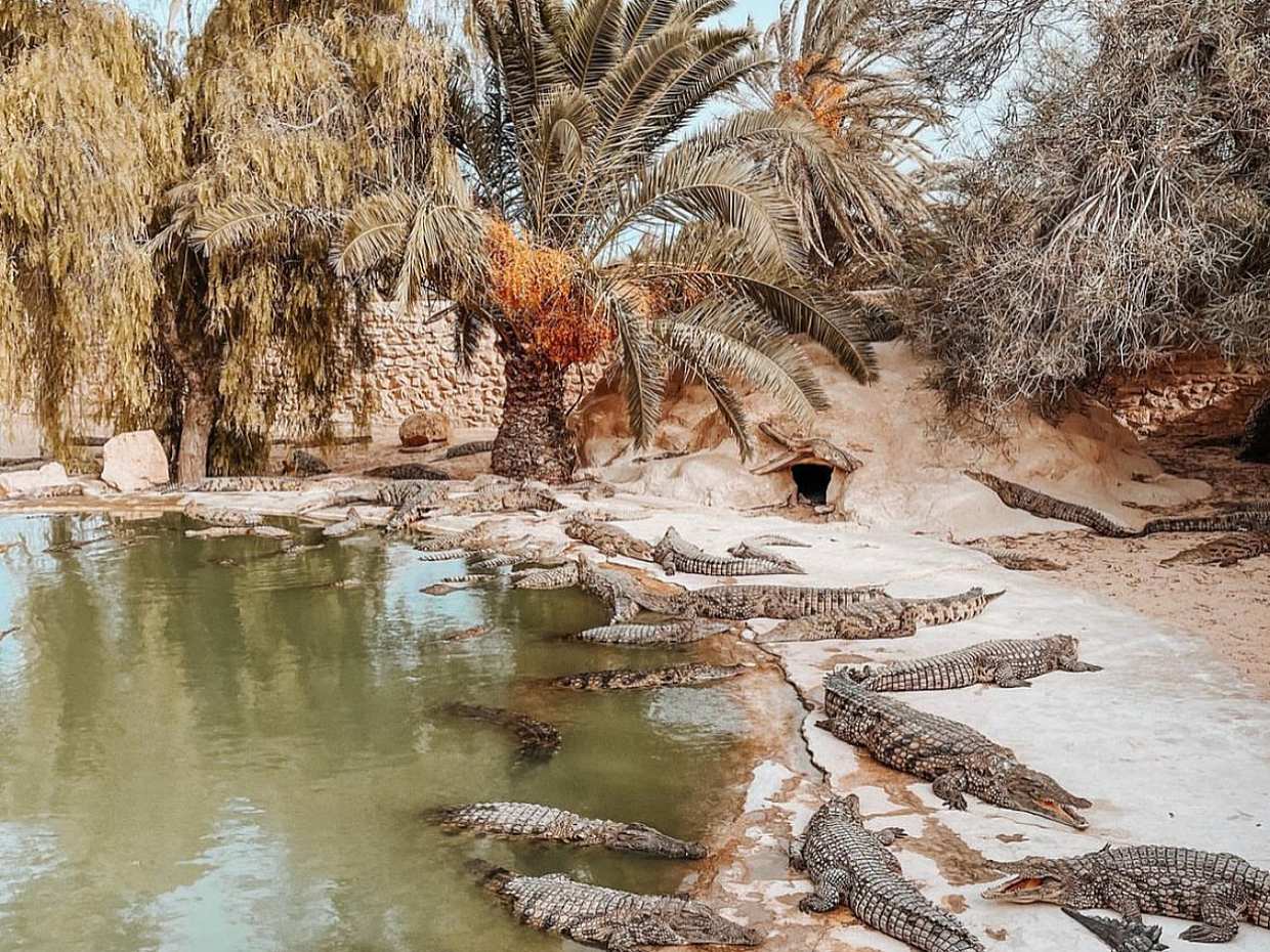 Djerba Explore: A Stunning Journey into Culture and Nature in Tunisia, Djerba Midun, photo 3