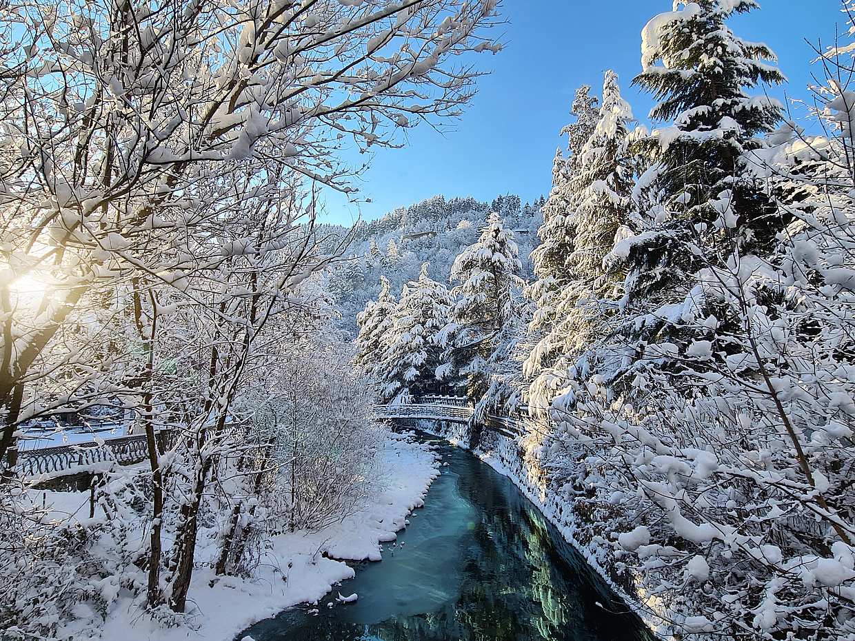 Bakuriani Ski Resort y el Legendario Borjomi desde Tbilisi en Georgia, Tour al Bakuriani Ski Resort., photo 3