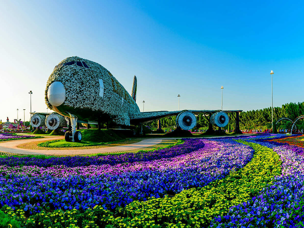 Miracle Garden Tour in United Arab Emirates, Dubai