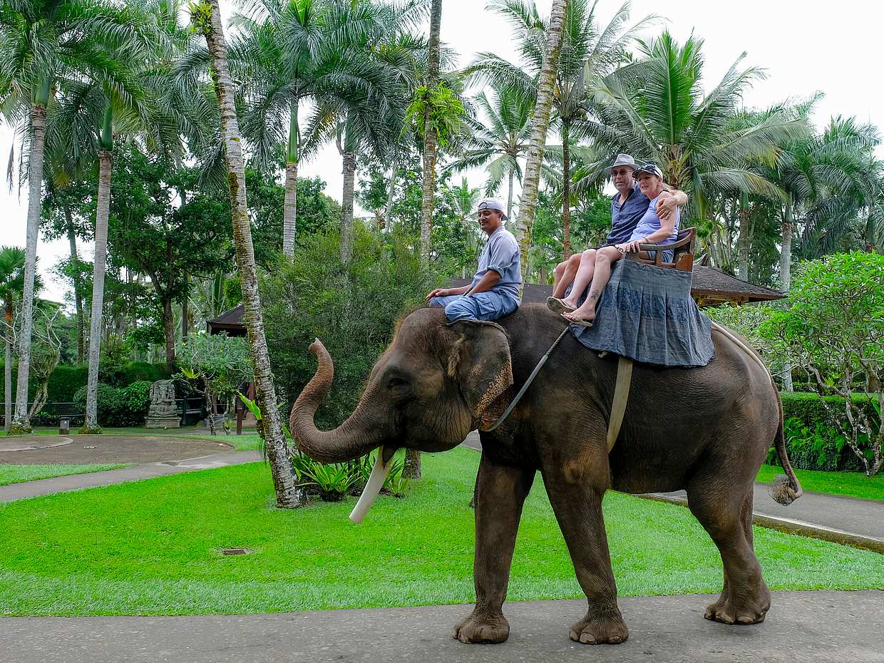 Bali Elephant Safari Park Tour, Indonesia, photo 3