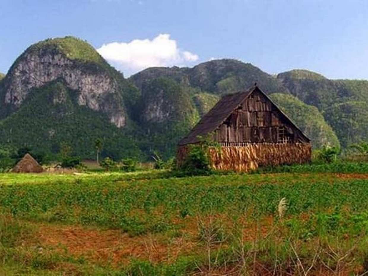 Cuba: Lovely Journey to Viñales: From Tobacco to Prehistory, a Unique Cultural Experience from Pinar del Río to Havana, photo 4