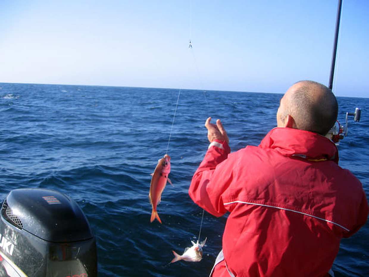 "Cascais Kleingruppen-Hochseefischen in Portugal", photo 2