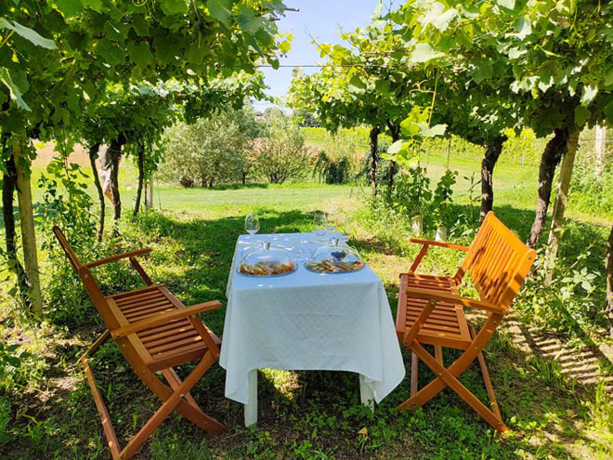 Horseback riding with Pic Nic in Lazise countryside, photo 3