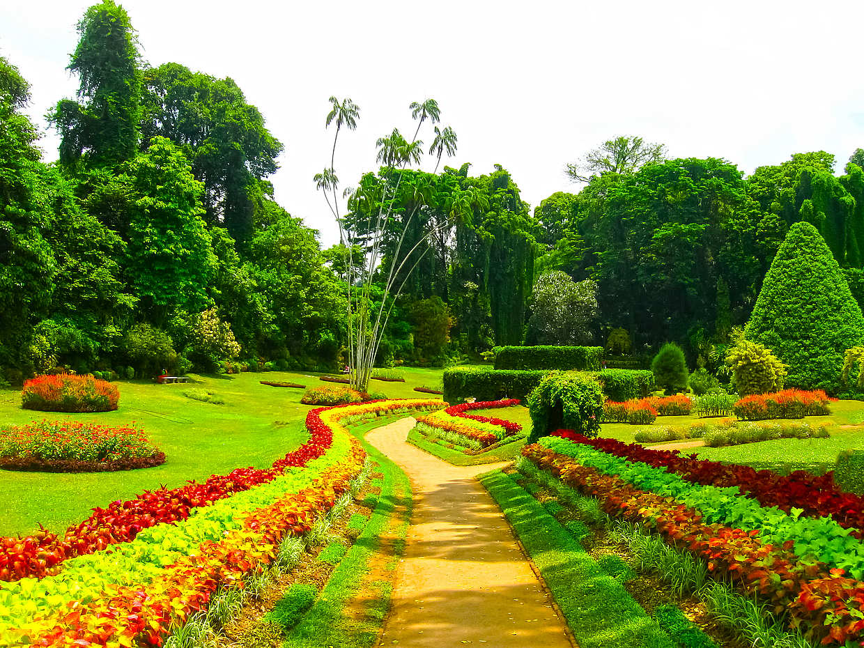Kandy Day Tour with Culture in Sri Lanka