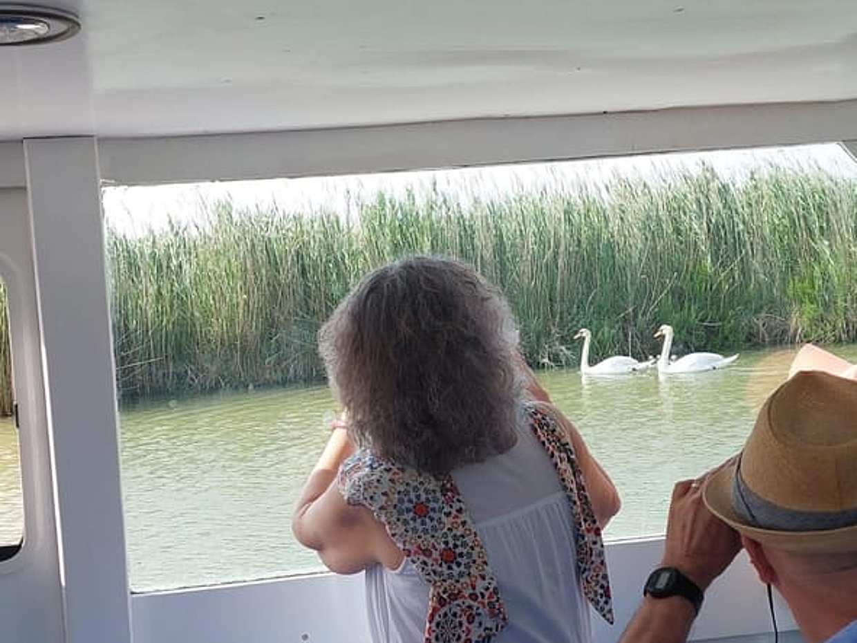 Po Delta Boat Tour: Explore Isola dell’Amore & Nature, photo 5