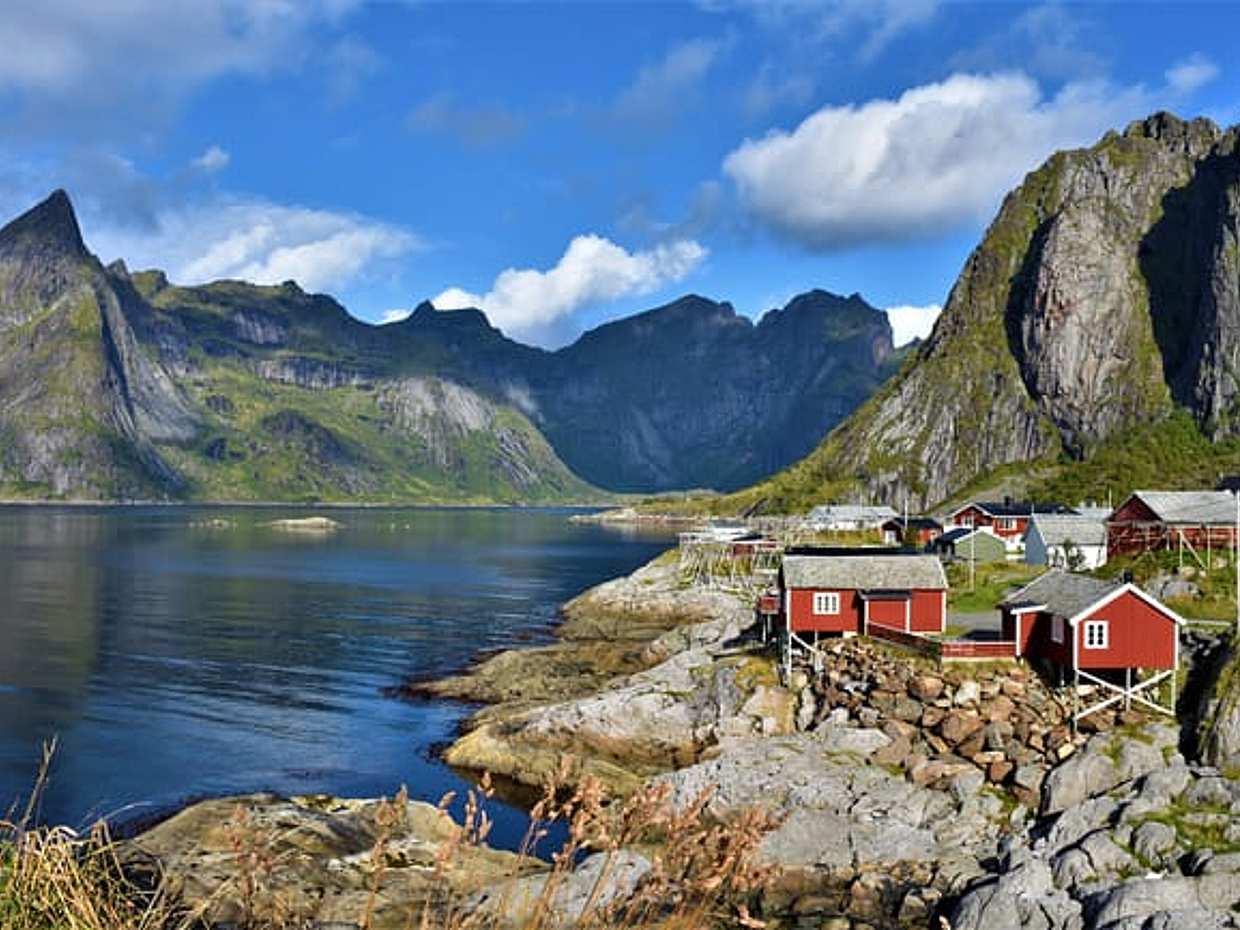 Special Summer Cruise Bus Tour of Lofoten