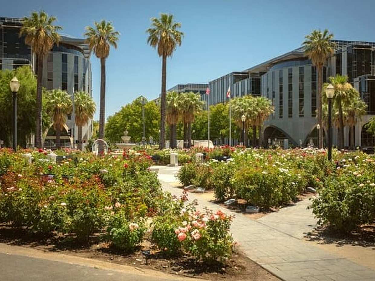 Romantic Sacramento Outdoor Escape Game, United States, photo 3