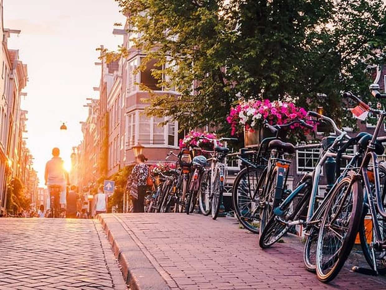 Privé rechtstreekse transfer van Rotterdam naar Amsterdam in Nederland, photo 2