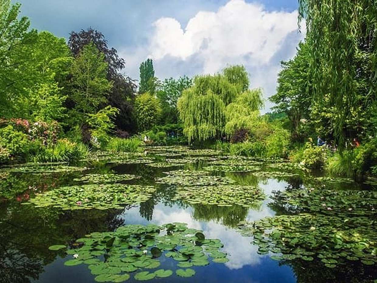 Versailles Palace & Giverny Private Tour with Lunch&Hotel Pick-up, photo 2
