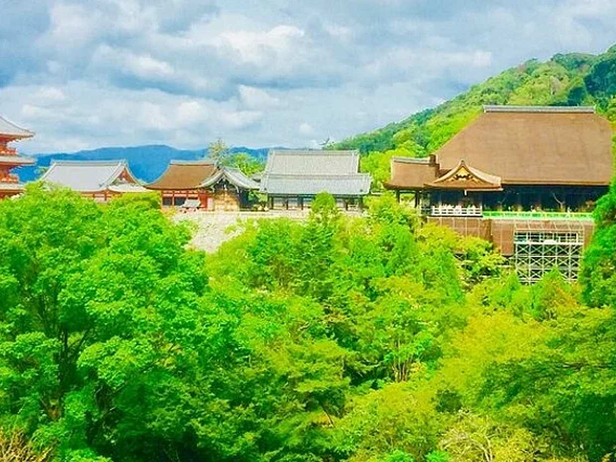 Full-day Private Guided Walking Tour to Kyoto Old Town and Temples, Japan, photo 3