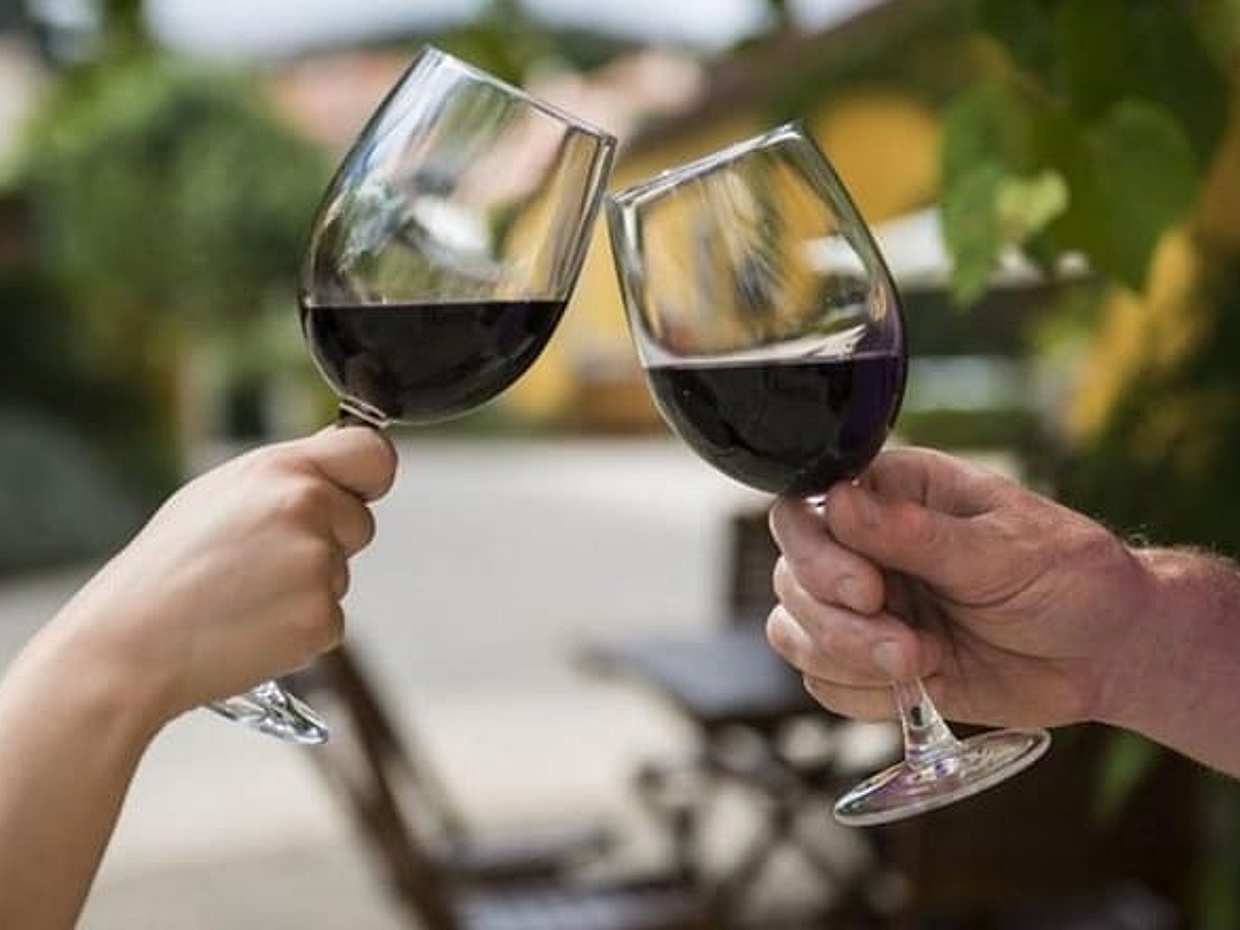 Wine Tasting - Private Half-Day Tour in Portugal, Lisbon