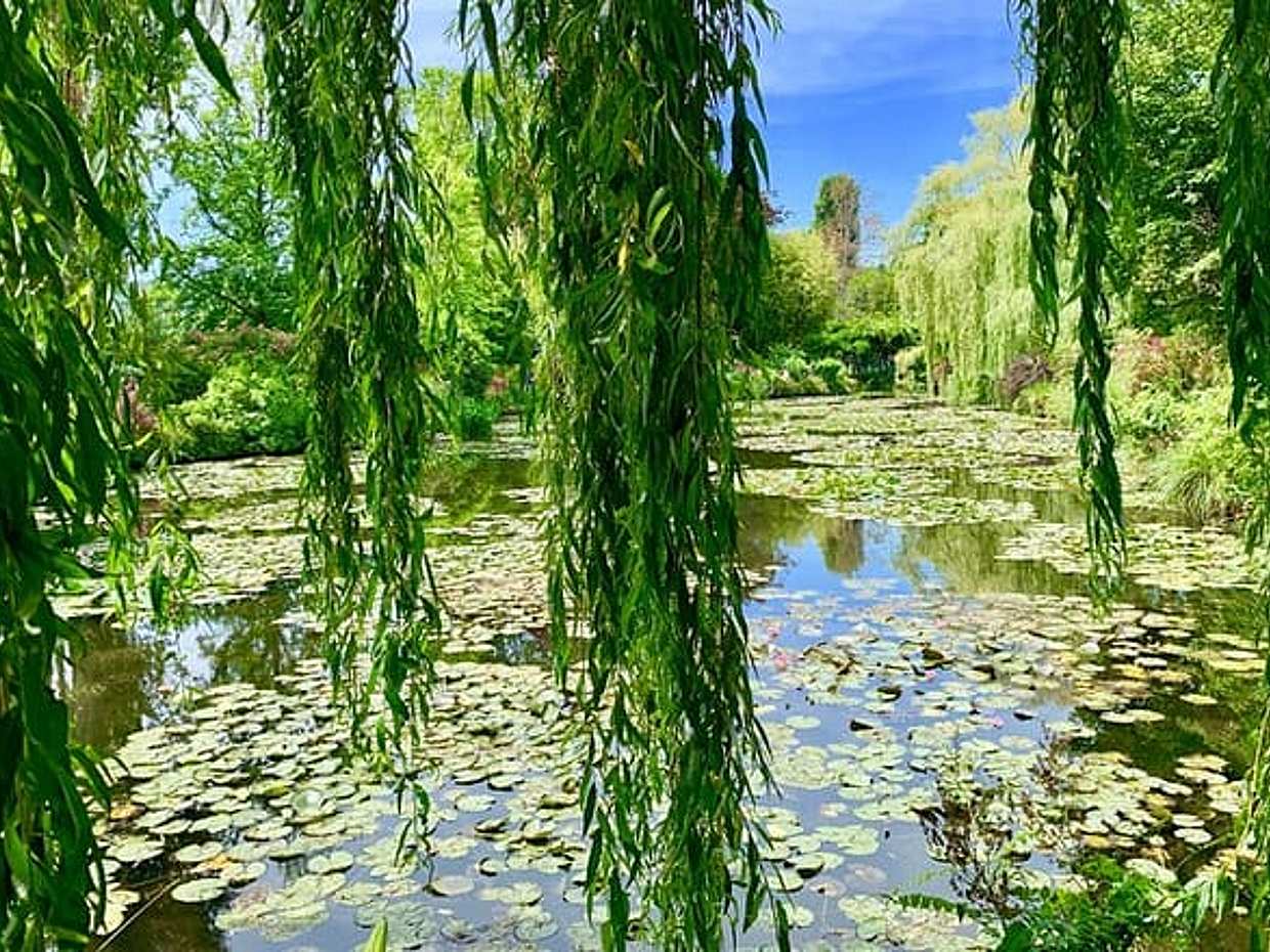 Versailles Palace and Giverny Private Guided Tour from Paris, photo 3