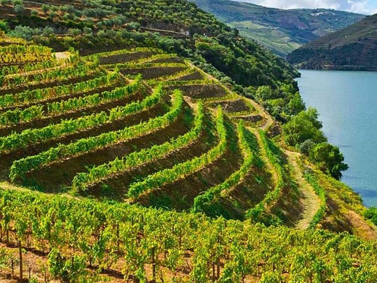 Private Full Day Tour: Wine Tasting to Peljesac and Ston visit, photo 4