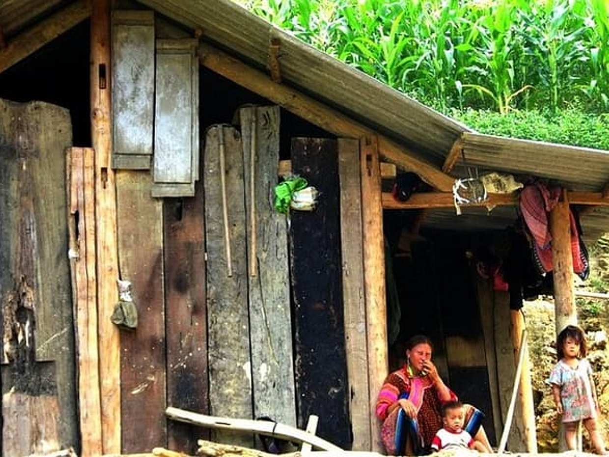 2 Days Group Trekking Tour from SAPA ( Homestay Overnight ), Vietnam, photo 3