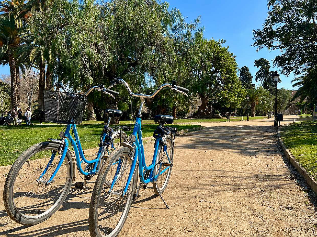 Barcelona: Tour Histórico en Bicicleta por España
, photo 4