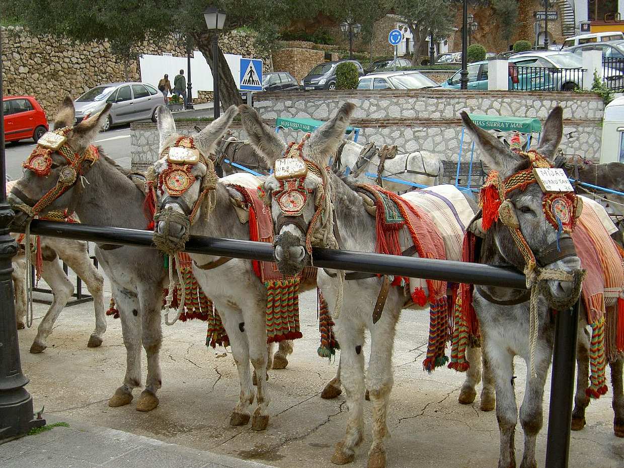مياخاس القرية البيضاء جولة خاصة في اسبانيا, photo 3
