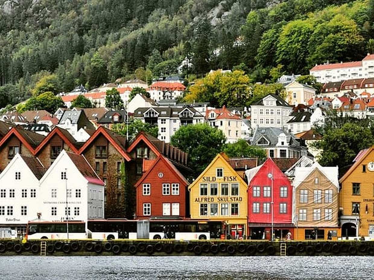 Özel Transfer Oslo'dan Bergen'e, Norveç, photo 4