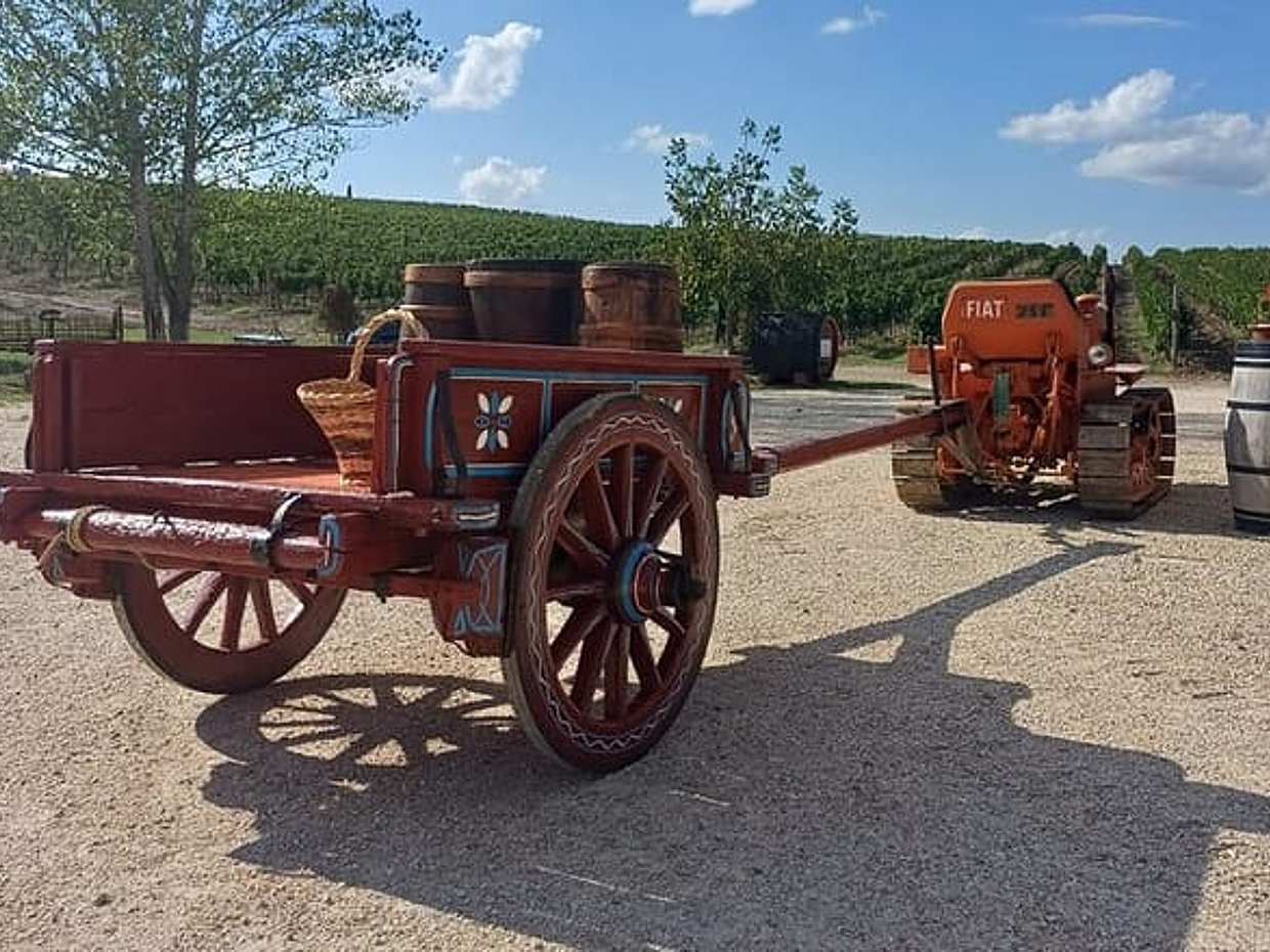 Tuscan Grape Stomping and Wine Tasting Adventure in Chianti, photo 4
