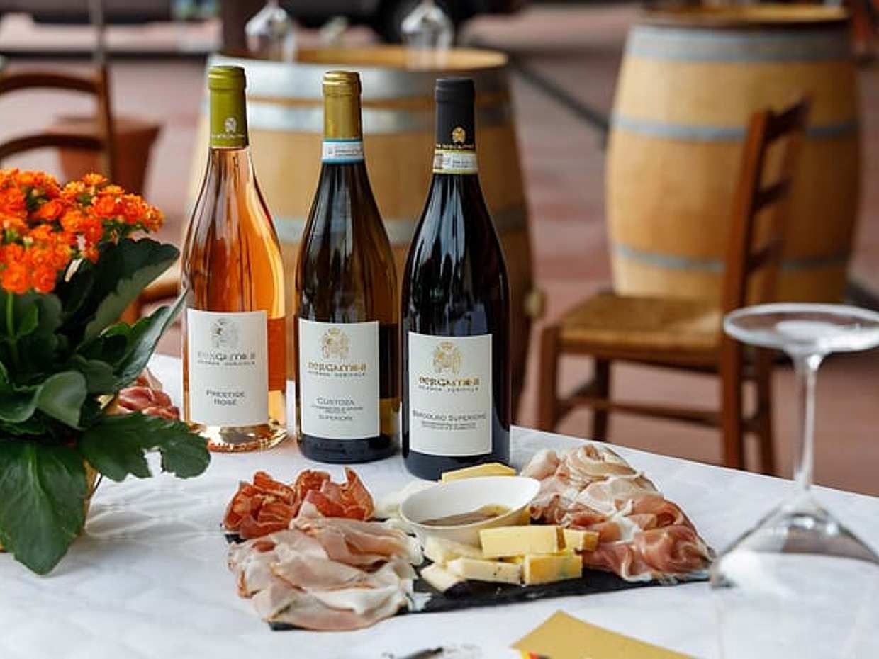Winery Tour and Tasting of Garda Wines