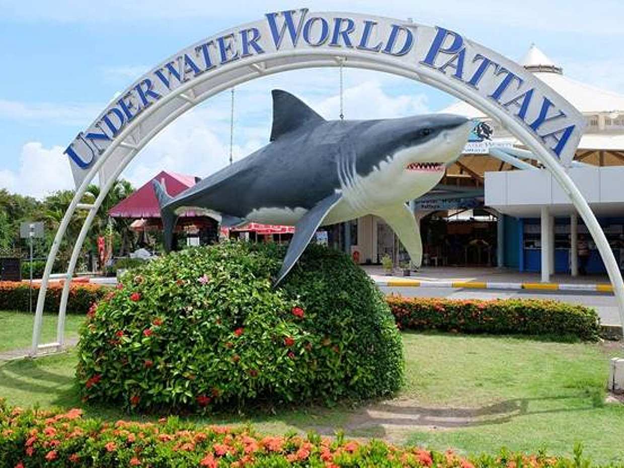 Pattaya : Monde sous-marin en Thaïlande, ville de Pattaya.