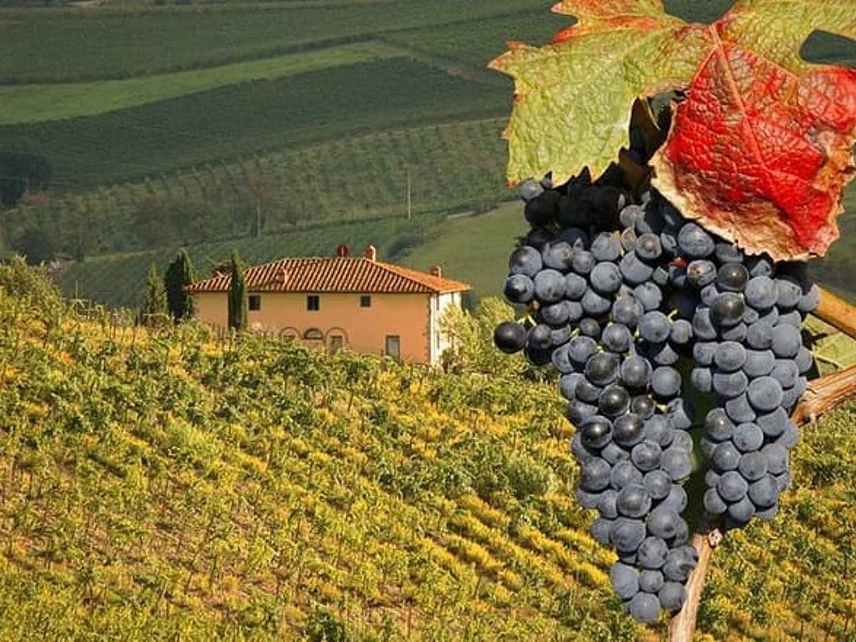 Pienza and Montepulciano by Tuscan Hills from Rome Private Tour, photo 2