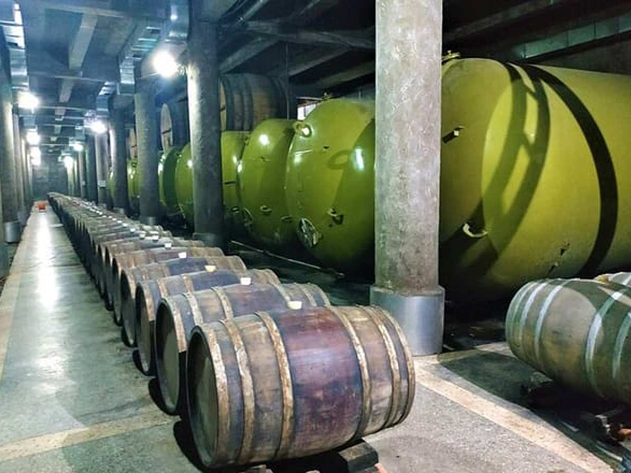 "Tour para amantes del vino: Kakheti, Kvareli y Kindzmarauli en Georgia, Tiflis", photo 4