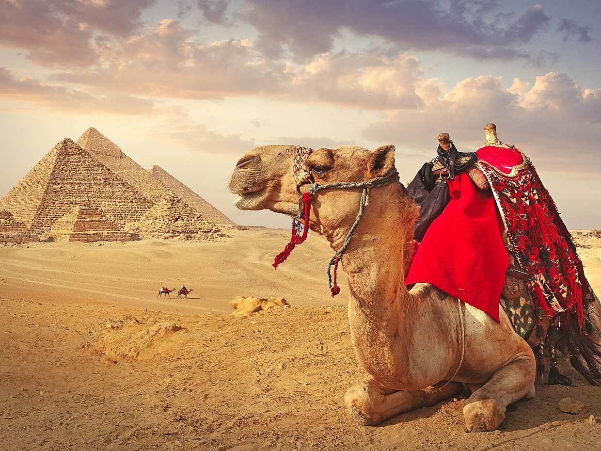 Özel Günlük Giza Piramitleri, Sakkara & Memphis Turu ve Mısır, Kahire'de Öğle Yemeği
, photo 4