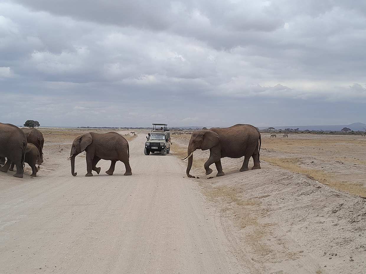 6 Daуs Amboseli, Lake Nakuru and Maasai Mara Safari in Kenya, Nairobi, photo 5