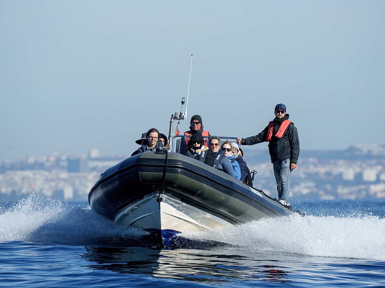 "Lisboa Sunset Speedboat Tour em Portugal"
, photo 3
