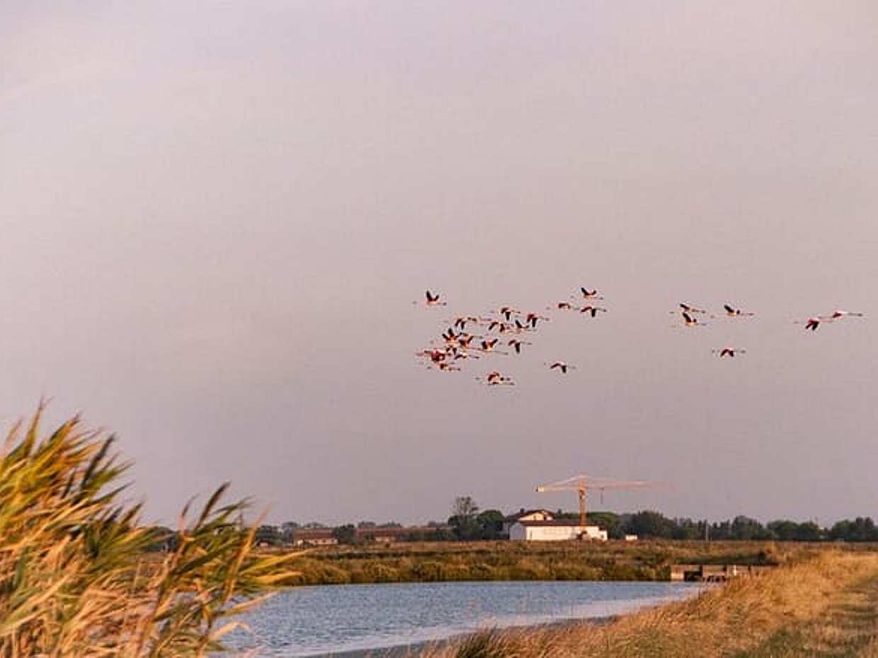 6-Hour Guided E-Bike Tour from Cesenatico to Ravenna, photo 3