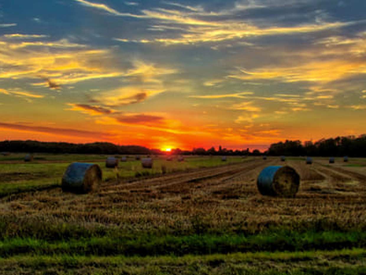 Romantic Chianti at Sunset - Small Group Excursion from Florence with Wine Tastings