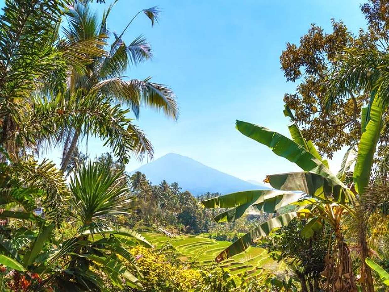 Hike Through the Tropical Forests of Mount Batukaru in Bali, Indonesia