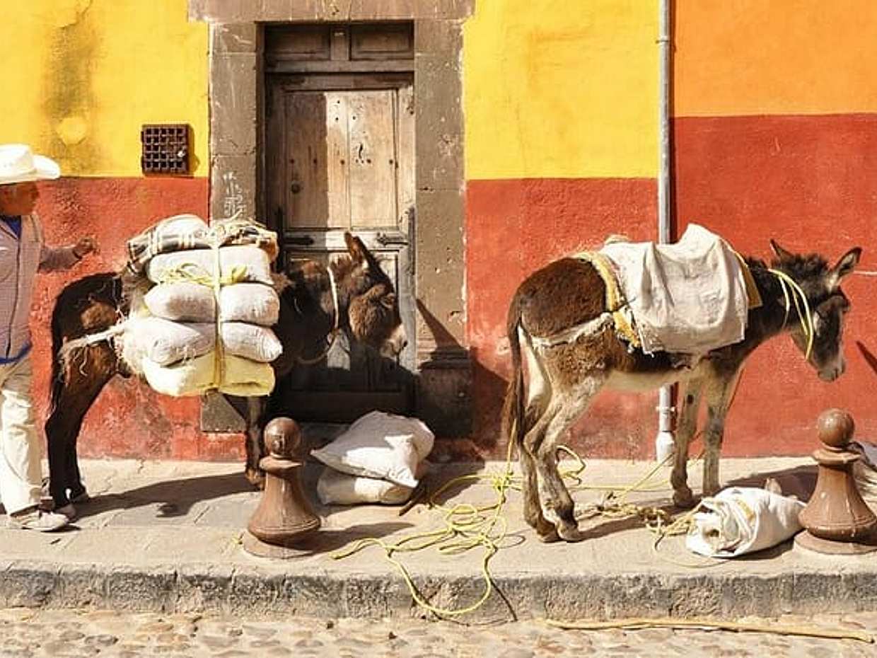 Ιδιωτική Ημερήσια Εκδρομή από την πόλη Guanajuato στην πόλη San Miguel de Allende και επιστροφή, Μεξικό., photo 4