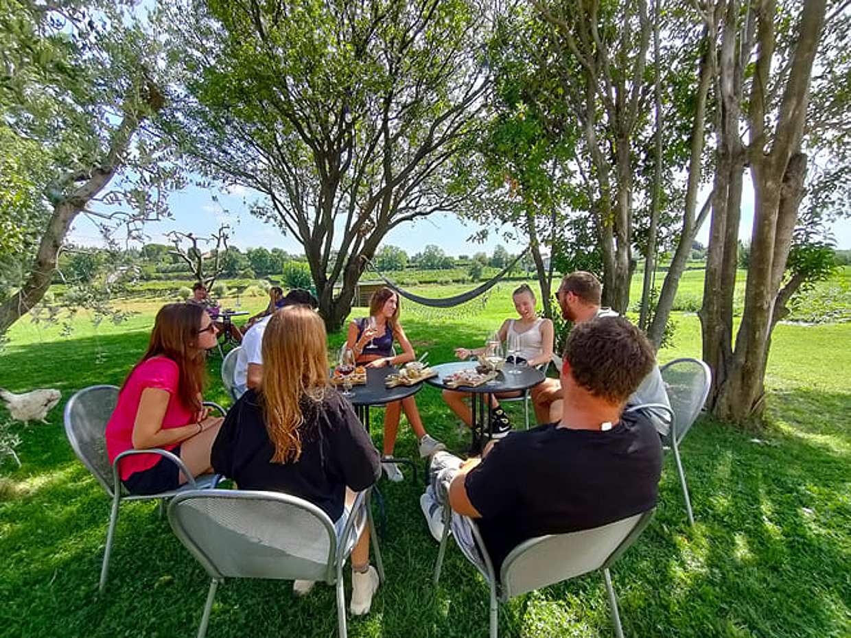 E-Bike Tour and wine tasting in Lazise Countryside, photo 5