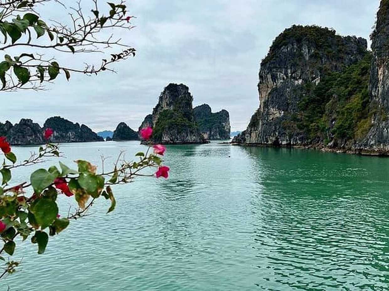 Bai Tu Long Bay Day Cruise from Hanoi | Off-the-Beaten-Path, photo 3
