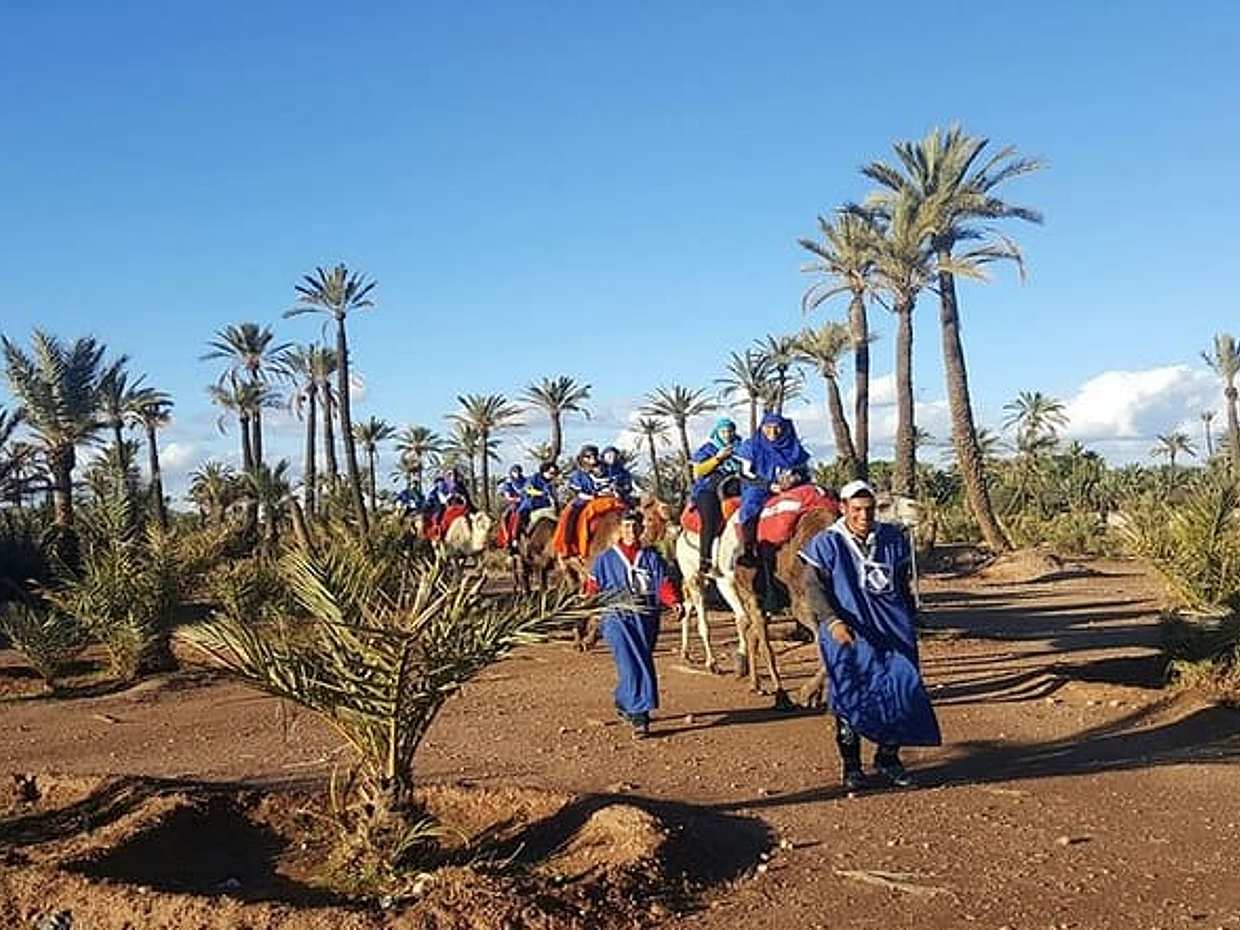 Camel ride in Marrakech Palm Grove, photo 4