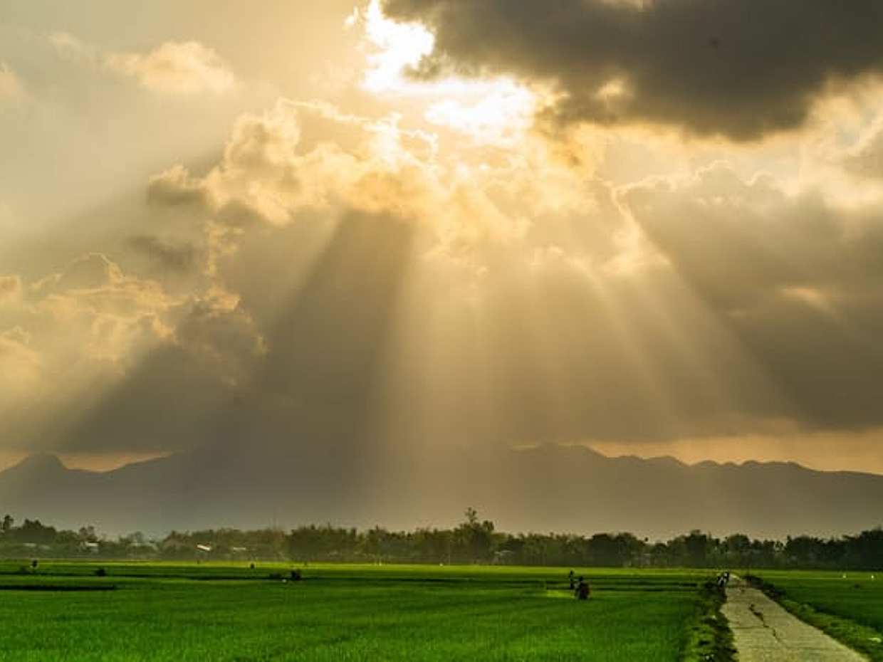My Son Sanctuary Bike Tour from Hoi An - Lost Civilization in Vietnam, photo 4