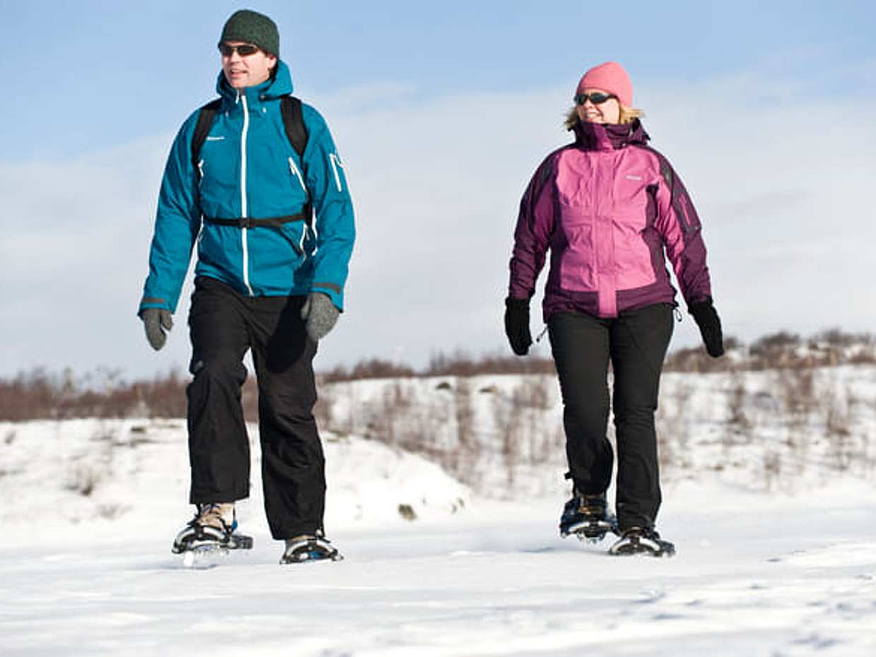 Day Trip - Snowshoeing in Bodø, Northern Norway, photo 2