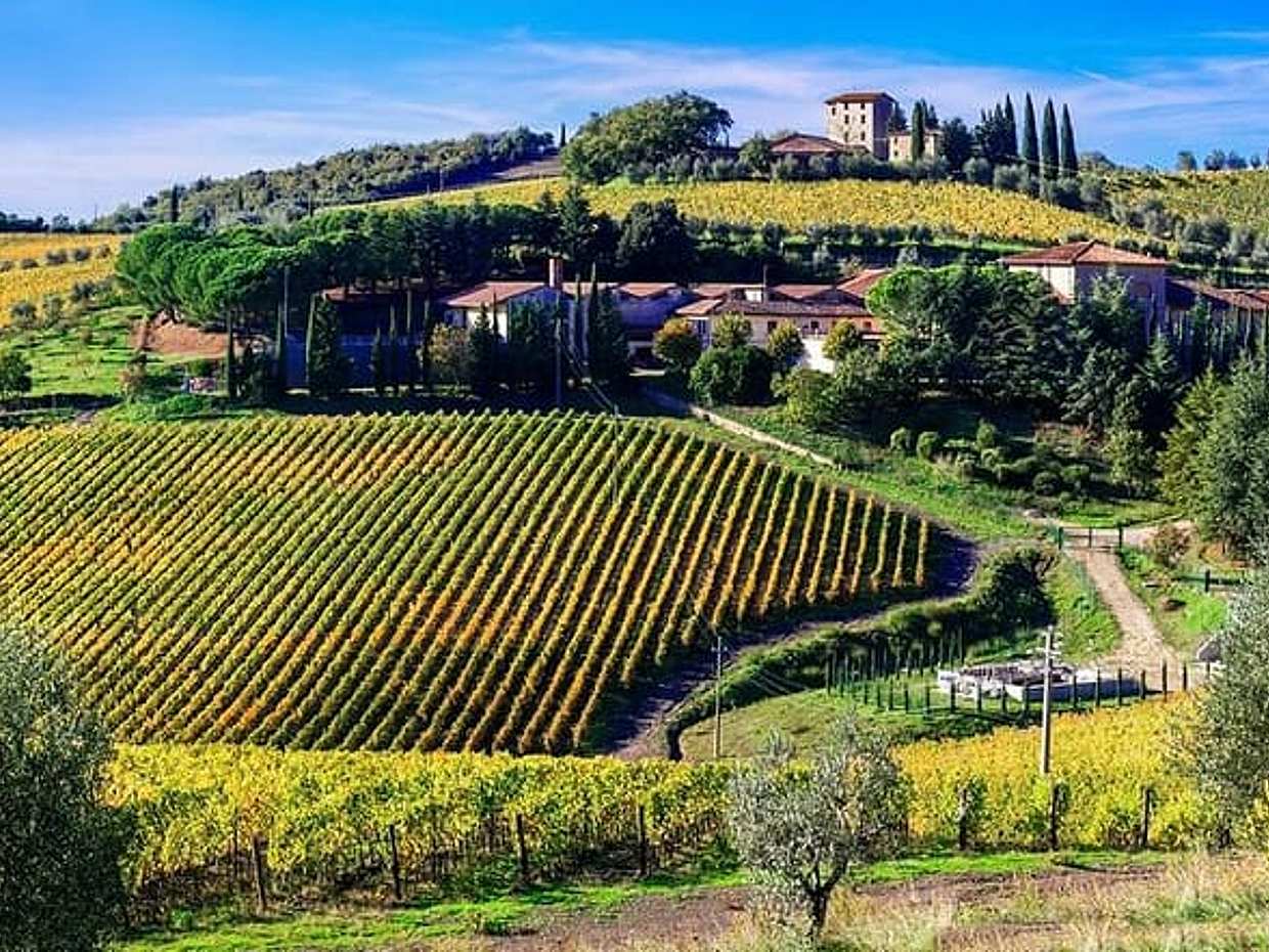 Florence Day Trip: Pisa, San Gimignano, and Siena with Lunch in Italy, photo 5