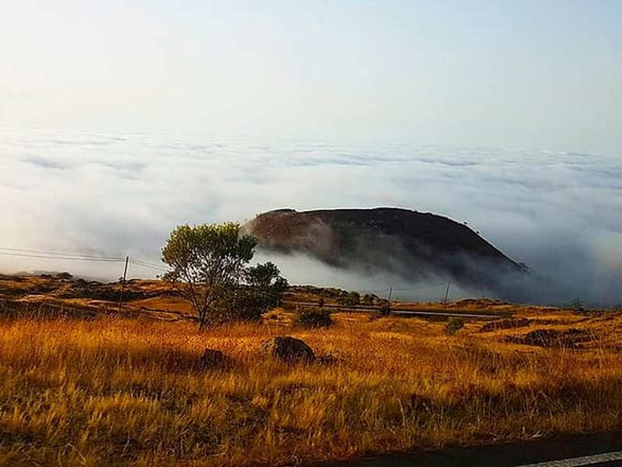 Depuis Chã das Caldeiras : Randonnée au sommet du volcan Pico do Fogo au Cap-Vert, São Filipe, photo 5