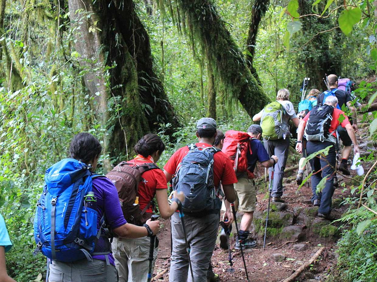 Kilimanjaro Day Hike в Танзании, Моши.

