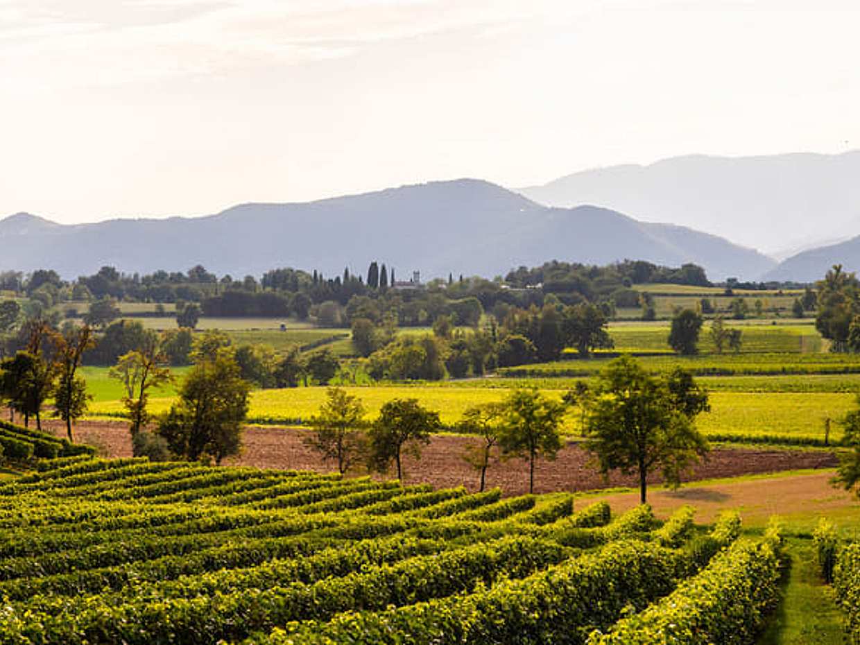 E-Bike tour with Wine tasting from Salò, photo 3