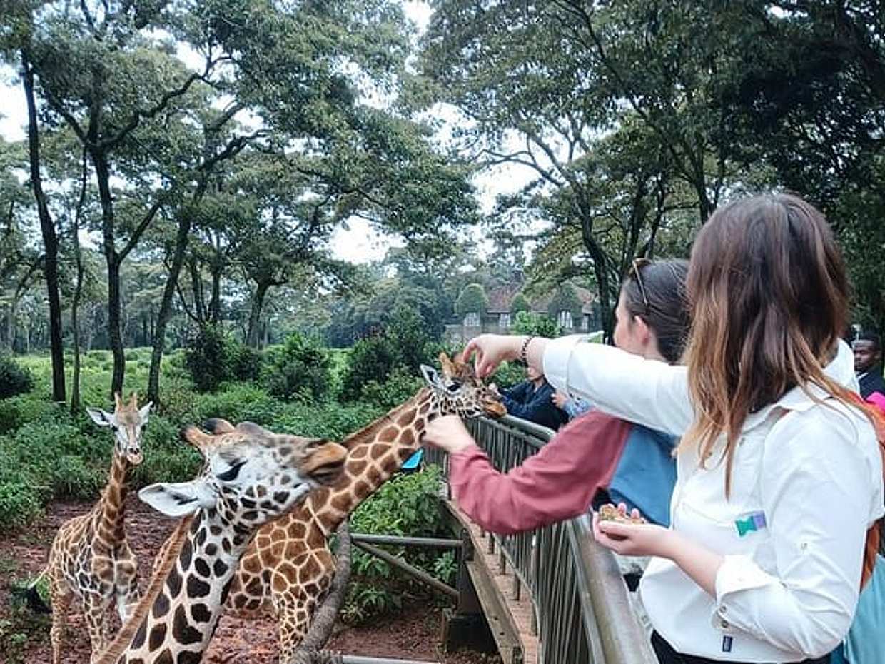 Classic Half-Day Nairobi City Tour Safari-Free WI FI in Kenya, photo 4
